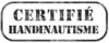 logo handinautisme